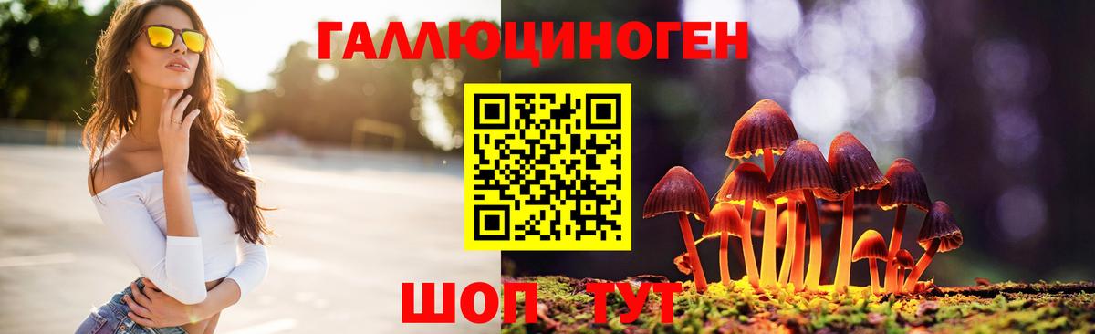 Братск  Псилоцибиновые грибы Magic Shrooms  Вход с VPN 